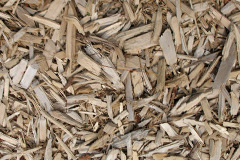 biomass boilers Neatishead